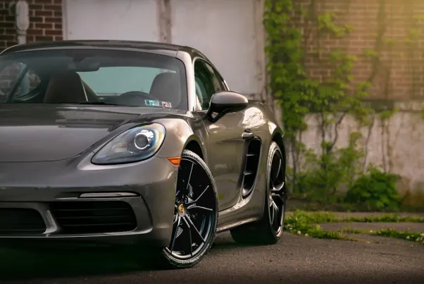 Casino Spin Pug Android/iOS Forrit